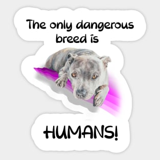 The only dangerous breed is HUMANS! Sticker